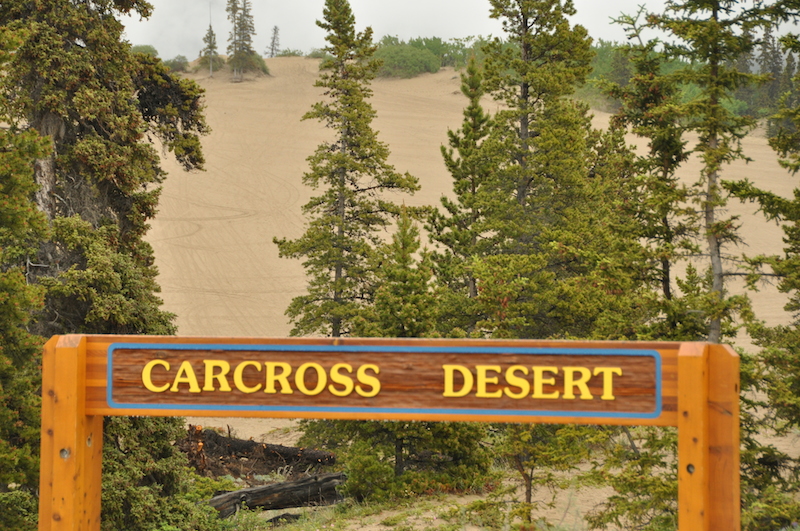 Carcross Desert