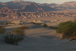 dunes at dusk