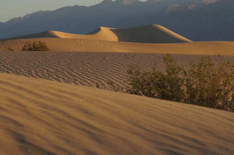 dunes at evening