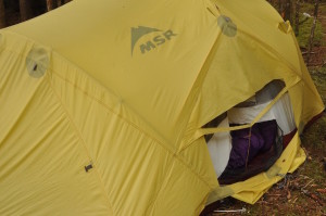 Bear Damaged Tent
