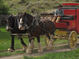 hat creek ranch stagecoach ride, our home has 6 wheels