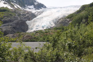 exit glacier near Seward