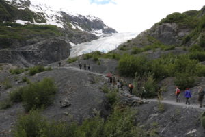 Exit Glacier trail