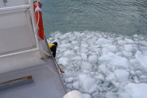 portage lake glacier cruise icebergs