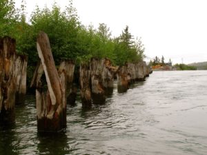Old wharf pilings along the waterfront