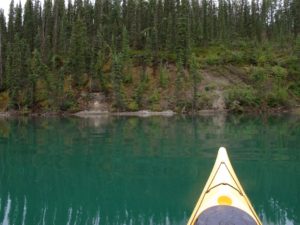 Paddling through boreal forest