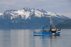 Looking West out of Valdez Harbour