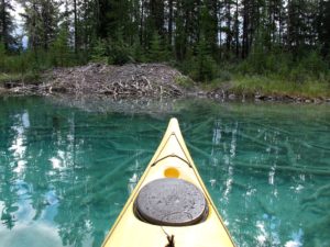Floating on crystal clear waters near a beaver lodge on Boya Lake, BC
