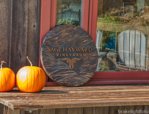 A VISIT TO SAGE HAYWARD VINEYARD, SATURNA ISLAND