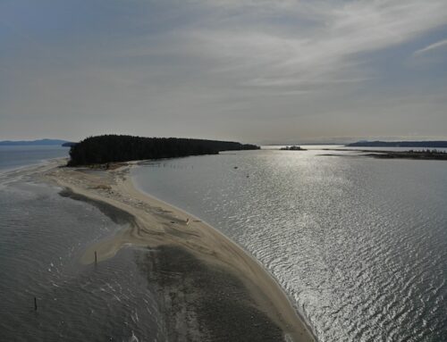 PADDLING TO SIDNEY ISLAND