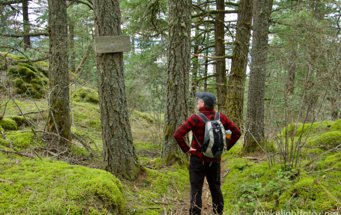 Hiker on old Gowlland Tod Provincial Park trail