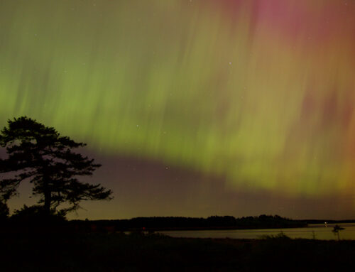 Aurora Borealis in Victoria, BC!