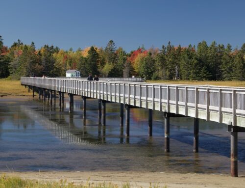 Where the Forest Meets the Sea: Kouchibouguac National Park, NB