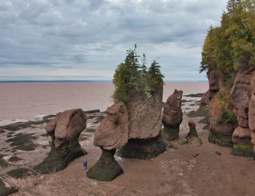 Exploring Hopewell Rocks: New Brunswick’s Sculpted Shoreline Wonder