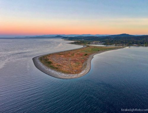 Cordova Spit (TIXEN)