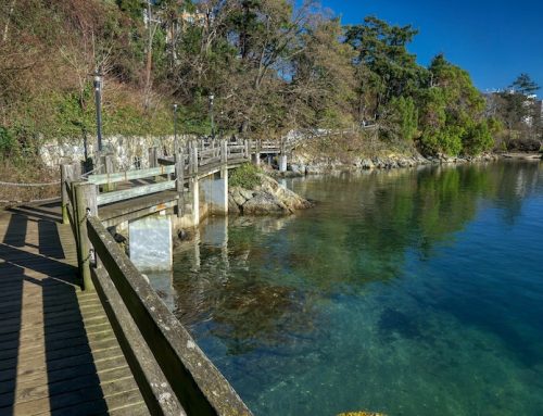5 BEST WALKS IN DOWNTOWN VICTORIA