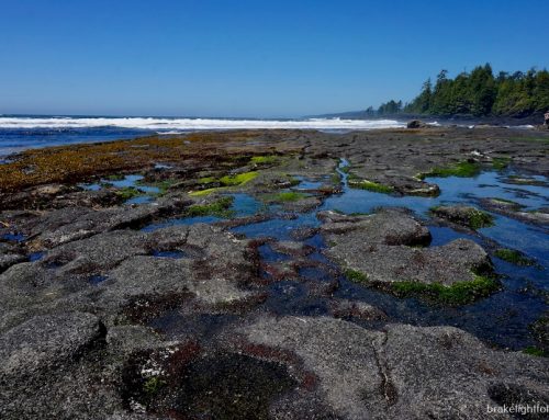 JUAN DE FUCA PROVINCIAL PARK – BOTANICAL BEACH