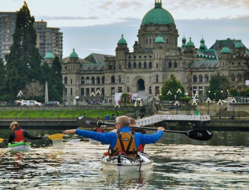 Safety Guidelines for Paddling Around Victoria