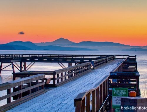 SIDNEY’S BEAUTIFUL WATERFRONT WALKWAY