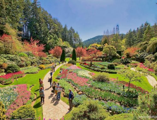 Victoria’s Amazing Butchart Gardens!