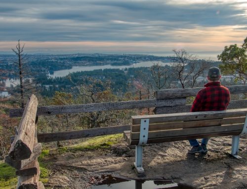 EXPLORING MILL HILL REGIONAL PARK