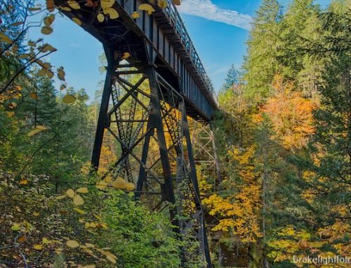 Biking the Cowichan Valley Trail: From Kinsol Trestle to Skutz Falls