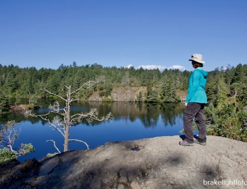 EXPLORING THETIS LAKE REGIONAL PARK