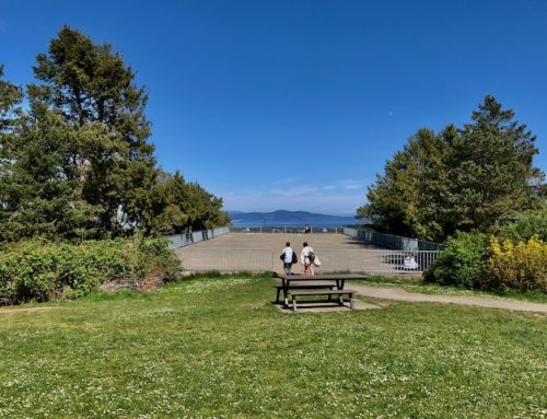 BREATHTAKING VIEWS AT MOUNT TOLMIE