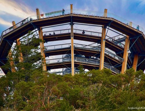 ADVENTURE AT THE MALAHAT SKYWALK