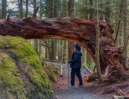 EXPLORING FRANCIS/KING REGIONAL PARK